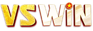 VSWIN1